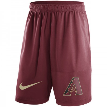 Men's Arizona Diamondbacks Red Dry Fly Shorts