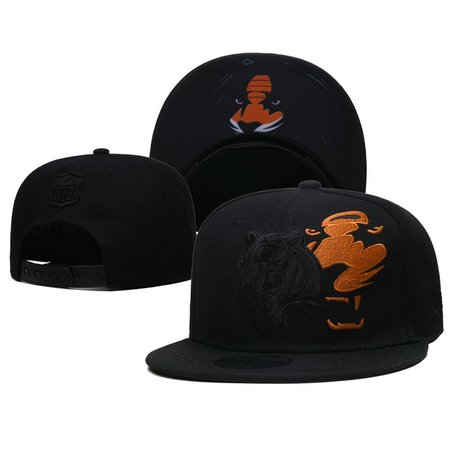 Chicago Bears Snapback Hat