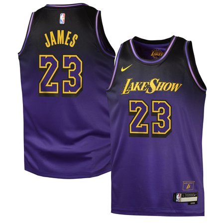 Youth Los Angeles Lakers #23 LeBron James Purple 2024/25 Swingman City Edition Player Jersey